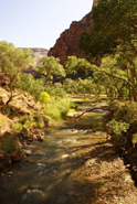 Zion NP, the Virgin River