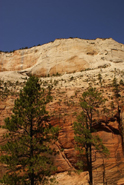 Zion NP, la rando Angel'sLanding