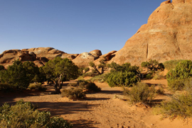 Arches NP, le camping Devil's Garden Campground