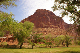 Capitol Reef NP